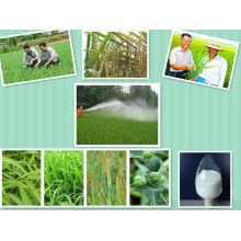 Atrazine é um Herbicida M80% Wp Herbcide Assassino de Erva Daninha
